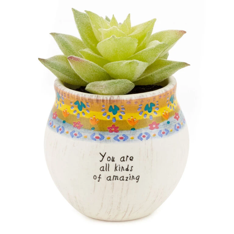 Natural Life Faux Succulent All Kinds Of Amazing Mini Planter, 2" 2 Natural Life Faux Succulent All Kinds Of Amazing Mini Planter, 2"