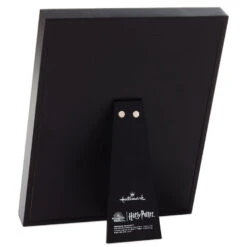 Hallmark Harry Potter™ Friendship And Bravery Hermione Granger™ Framed Quote Sign, 8x10 5 Hallmark Harry Potter™ Friendship And Bravery Hermione Granger™ Framed Quote Sign, 8x10 -Hallmark online Shop Black and Gold Books and Hermione Quote Framed Sign 1HPO1085 02