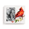 Demdaco Spring Cardinal Ceramic Picture Frame, 4x6 -Hallmark online Shop Cardinal Illustration on White Ceramic Picture Frame 1004610085 01