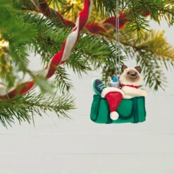 Hallmark Mischievous Kittens Ornament 9 Hallmark Mischievous Kittens Ornament -Hallmark online Shop Kitten in Gym Bag Keepsake Ornament 1599QXR8179 02