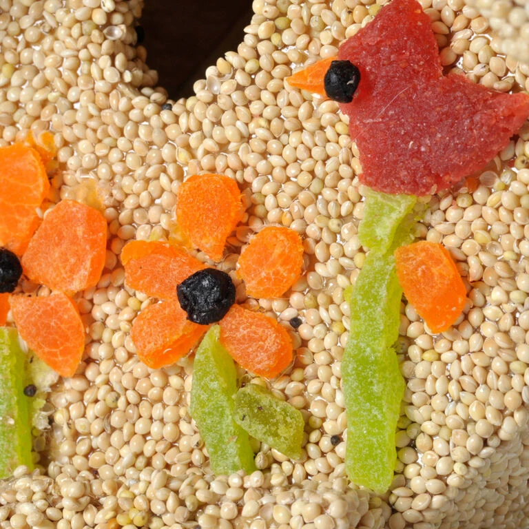 Mr. Bird Spring Fruit Casita Birdhouse 4 Mr. Bird Spring Fruit Casita Birdhouse - Image 2