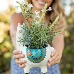 Hallmark online Shop 9 Hallmark online Shop -Hallmark online Shop Natural Life Cream Ceramic Llama Planter PLNT073 02