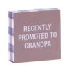 Recently Promoted To Grandpa Wood Quote Sign, 4x4 -Hallmark online Shop Recently Promoted to Grandpa Wood Quote Sign 115867 01