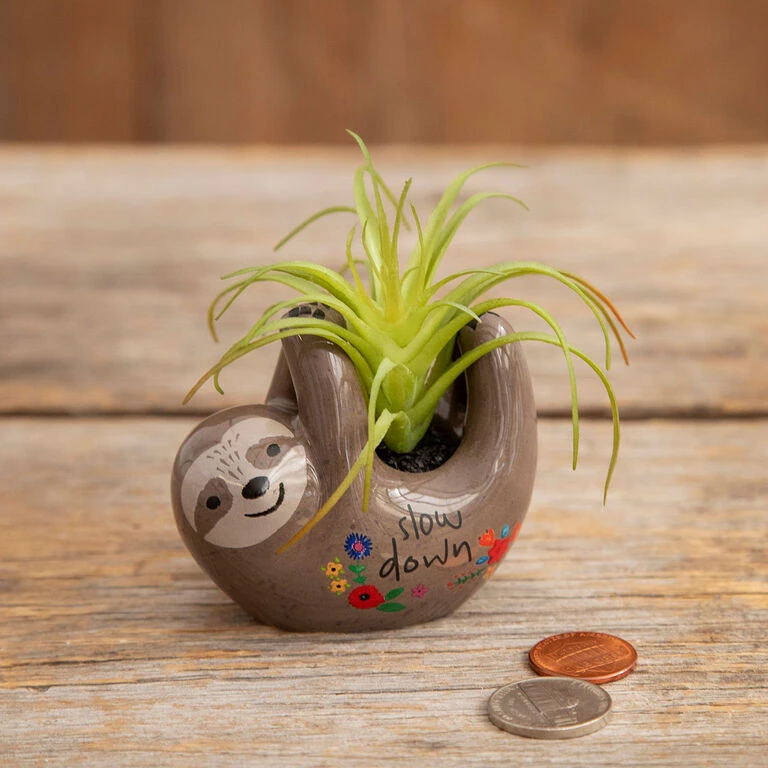 Natural Life Faux Succulent In Sloth Planter, 2" 3 Natural Life Faux Succulent In Sloth Planter, 2"