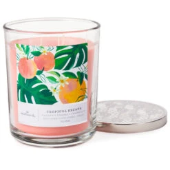 Hallmark Tropical Escape 3-Wick Jar Candle, 16 Oz. -Hallmark online Shop Tropical Escape 3Wick Jar Candle 1BGC1051 03